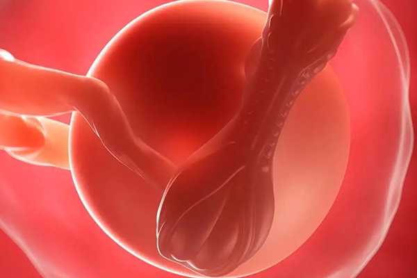 内膜形态从b型转化到c可以移植鲜胚吗？