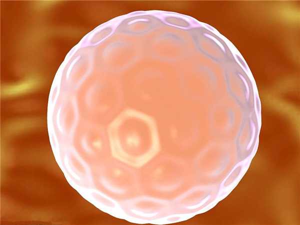 什么囊胚才算优质囊胚、试管婴儿成功生子！